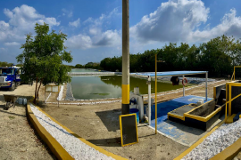 Instalaciones para el tratamiento de aguas y manejo de lodos.